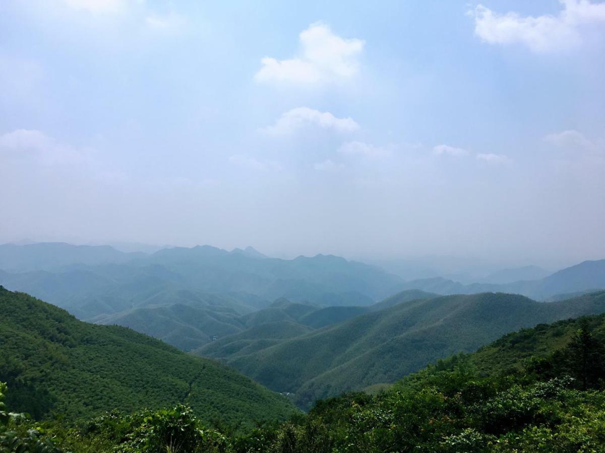 Moganshan Bamboo View Guesthouse Deqing Extérieur photo